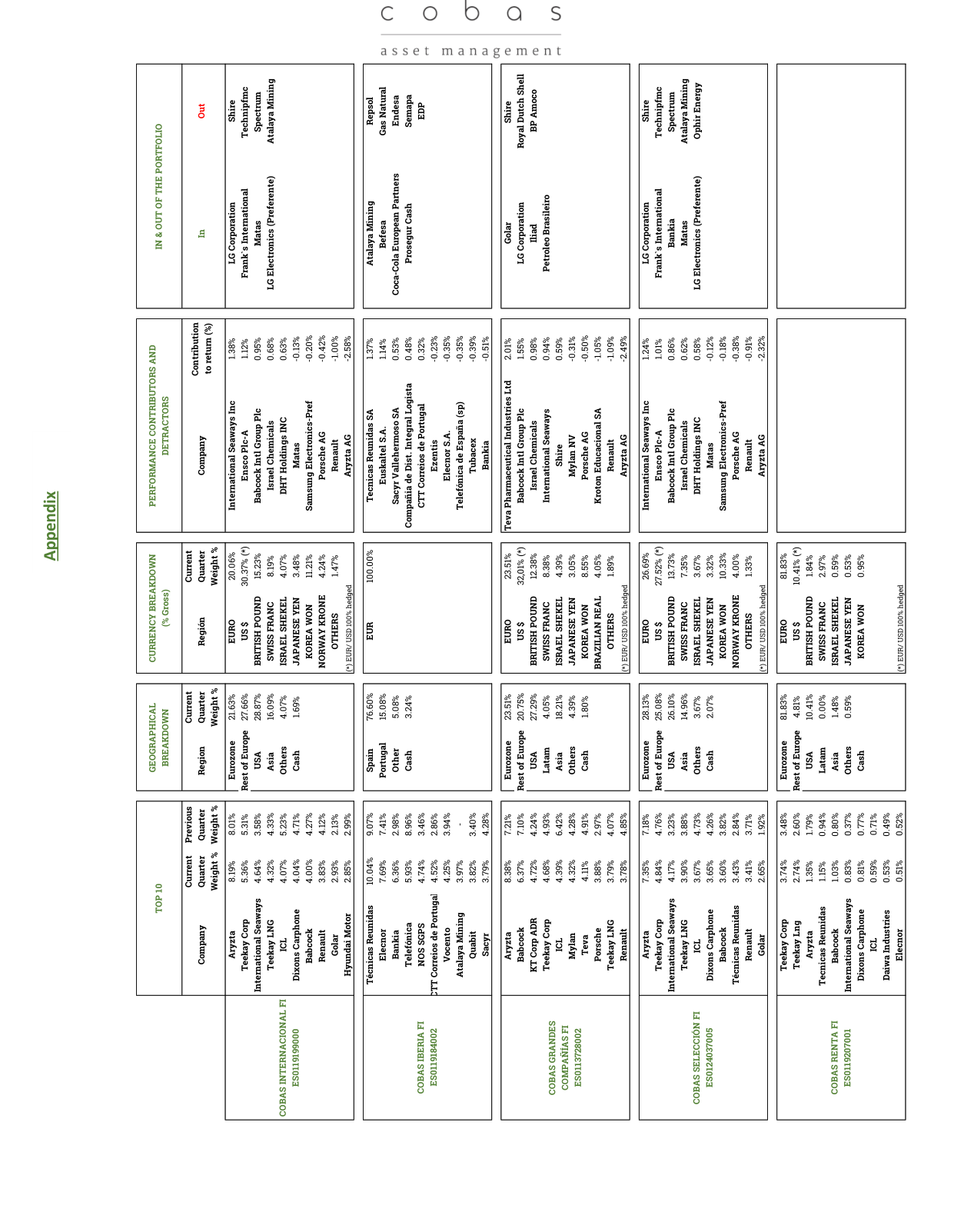 COBAS INTERNACIONAL FI Portfolio Breakdown