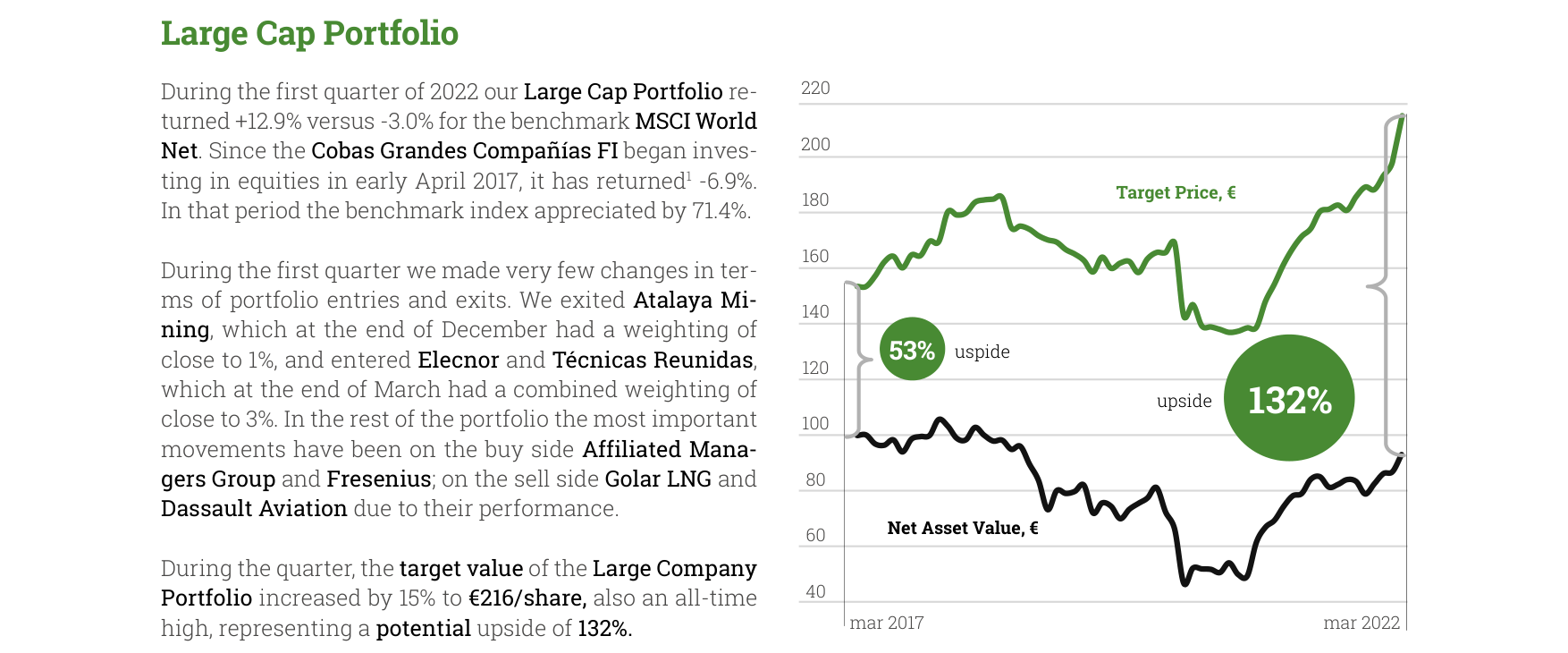Large Cap Portfolio