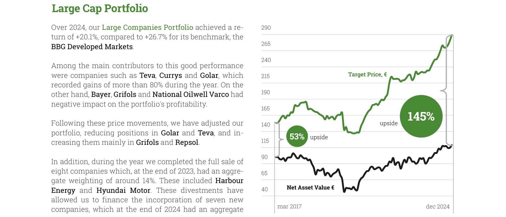 Large Cap Portfolio Performance Chart