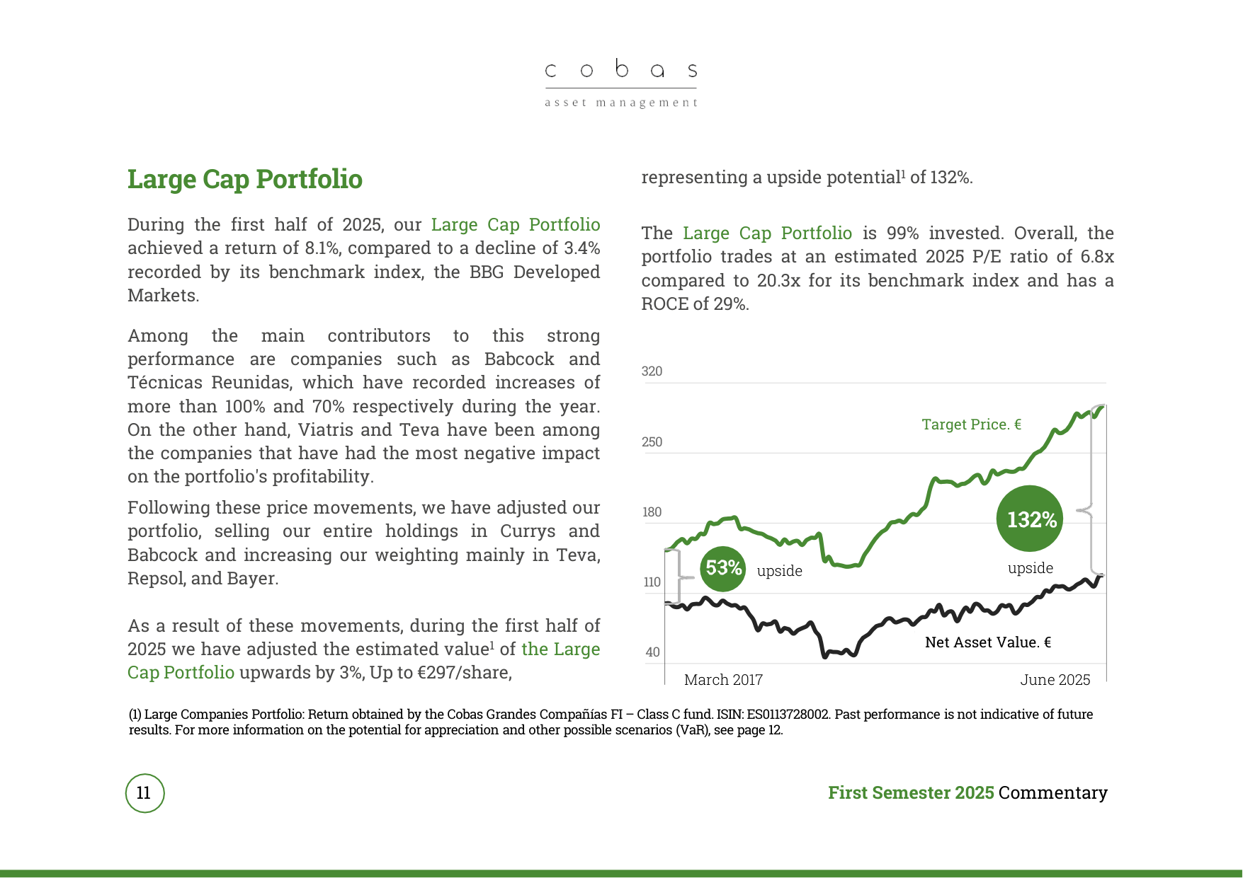 Large Cap Portfolio