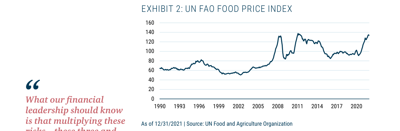 Exhibit 2: UN FAO Food Price Index